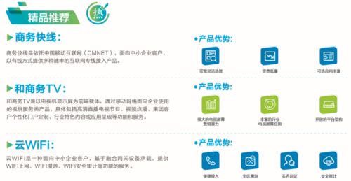 企業寬帶 致富紐帶，極速連接網絡技術服務